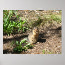 Recherche de fractales photographie Abstrait