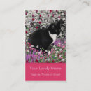 Recherche de smoking photographie Minou