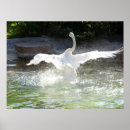 Recherche de peu commun posters L'eau
