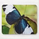 Recherche de aile bleue tapis souris Papillon