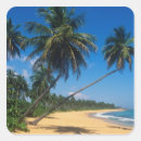 Recherche de isla autocollants Tropical