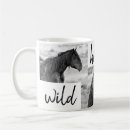 Recherche de juments et poulains tasses Pour tous