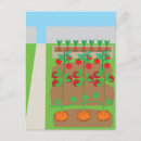 Recherche de potager cartes postales Légumes