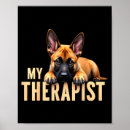 Recherche de berger belge posters Chiot