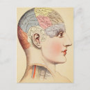 Recherche de chef cartes postales Tête