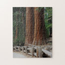 Recherche de board photography games Travel