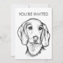 Recherche de chien blanc invitations Animal