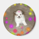 Recherche de domestiqué magnets Chiens