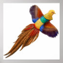 Recherche de de faisan art Chasse