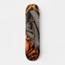 Recherche de serpent skateboards Noir