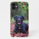 Recherche de chien de labrador iphone coques Mignon