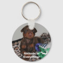 Recherche de dobermann porteclés Chiot