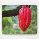 Recherche de cocotier tapis souris Cacao