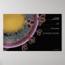 Recherche de grossier posters Illustration