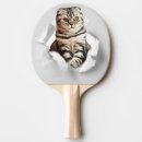 Recherche de chat domestique raquettes ping pong Pour tous