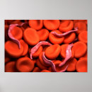 Recherche de biology posters Biomedical illustrations