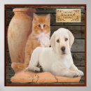 Recherche de chat humour posters Animaux domestiques