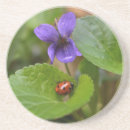 Recherche de coccinelle dessous de verres Fleur