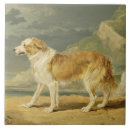 Recherche de rugueux carreaux Colley