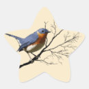 Recherche de bluebird autocollants Nature