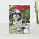 Recherche de shih vœux cartes Nature
