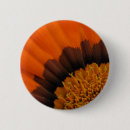 Recherche de macro badges De près
