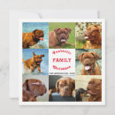 Recherche de instagram invitations Collage