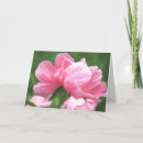 Recherche de humide vœux cartes Jardin