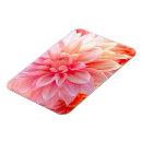 Recherche de jardin botanique magnets Printemps