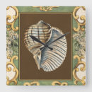 Recherche de coquilles de mer horloges Coquille de conque