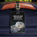 Recherche de marine nationale Loutre de mer
