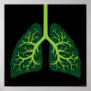 Recherche de humour anatomique posters Iflscience