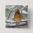 Recherche de cardinal du nord badges Hiver