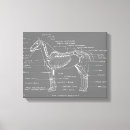 Recherche de squelette impressions sur toile Anatomie