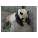 Recherche de panda planches à découper Nature