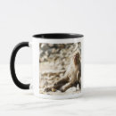 Recherche de préfecture tasses Intégral