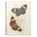Recherche de de papillon carnets Bleu