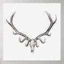 Recherche de crâne vintage posters Anatomie