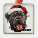 Recherche de cane corso ornements Noël