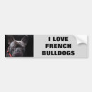 Recherche de bouledogue français voiture autocollants Chiot