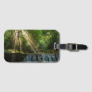 Recherche de crique accessoires Forêt