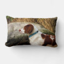 Recherche de bretagne coussins Espagne