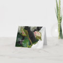 Recherche de buisson vœux cartes Rose