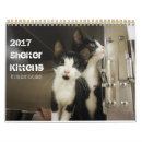 Recherche de vacances de chat bureau fournitures Animal