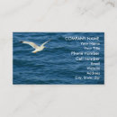 Recherche de observation des oiseaux cartes visite Bleu