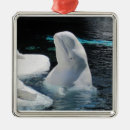 Recherche de beluga ornements Noël