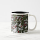 Recherche de rouge gorge tasses Oiseau