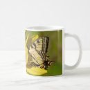 Recherche de machaon de tigre tasses Fleurs