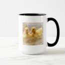 Recherche de caneton tasses Animaux