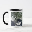 Recherche de flaque tasses Marées de noir